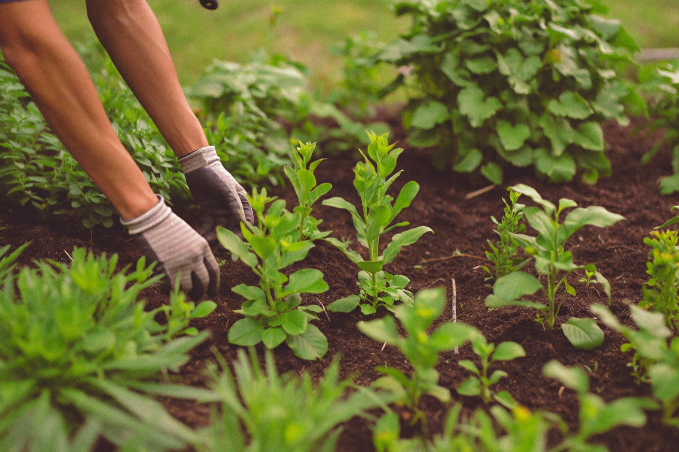Gartenpflege im Einsatz