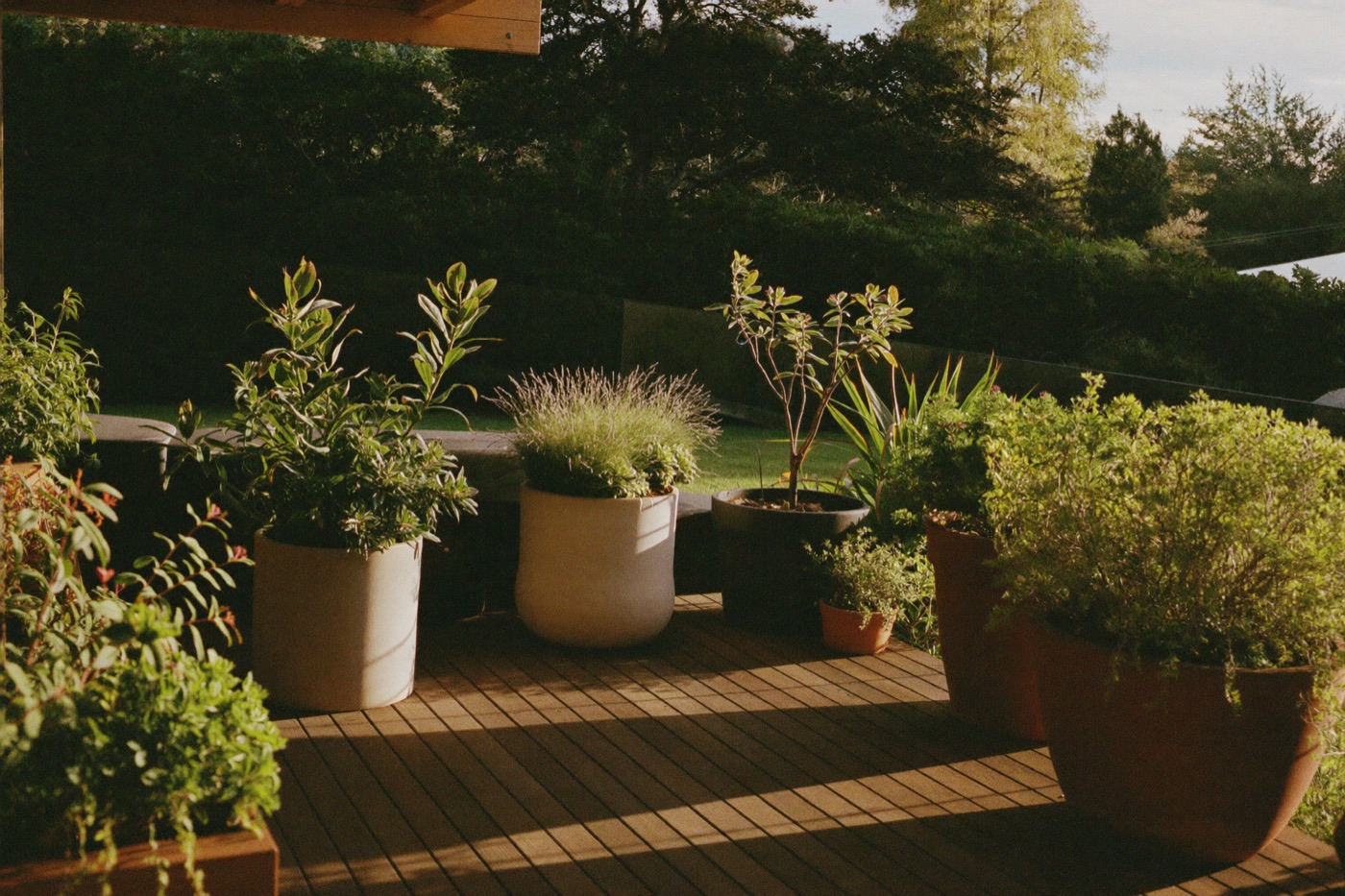 Terrasse mit Begrünung